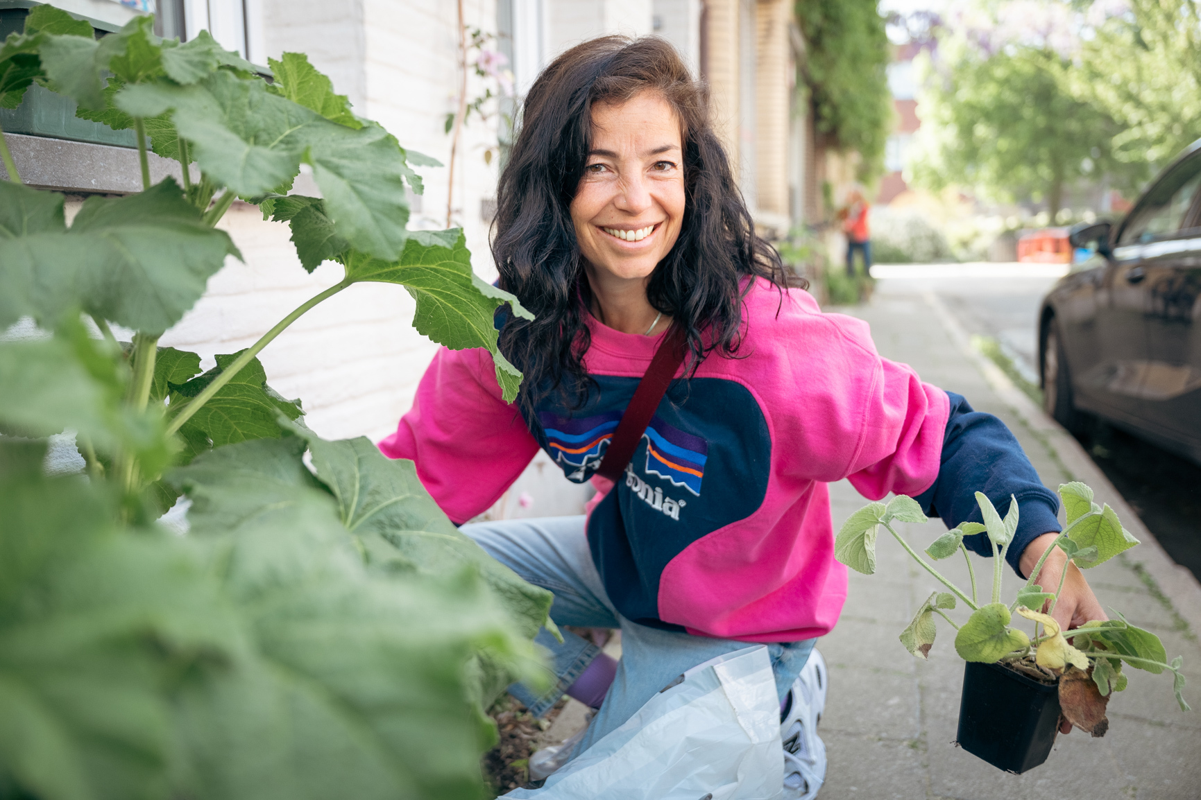 Bestel voor 1 september je gratis plantjes. 17 oktober is het weer Groeidag in Borgerhout